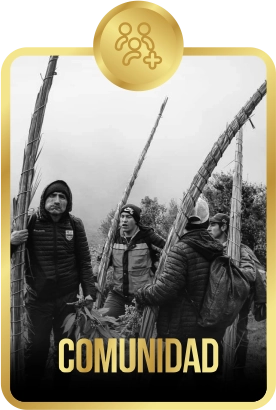 Inscripción Online oculta