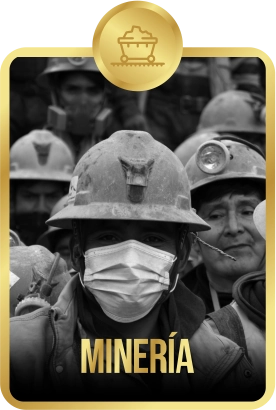 Inscripción Online oculta